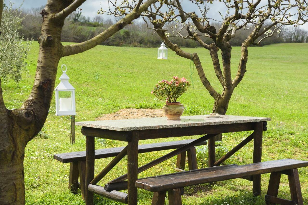 Agriturismo Campo Alla Piana Villa Monticchiello Dış mekan fotoğraf
