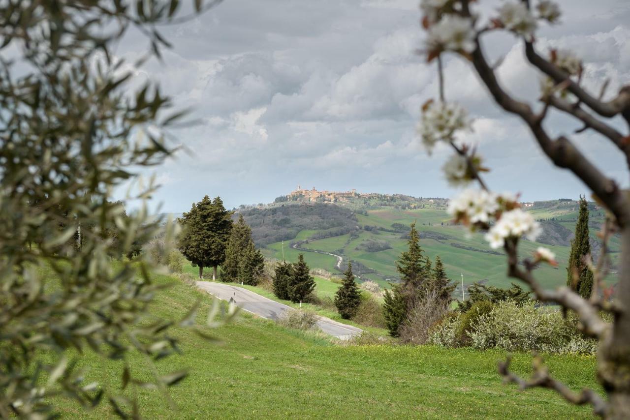 Agriturismo Campo Alla Piana Villa Monticchiello Dış mekan fotoğraf